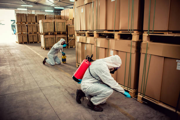 Best Affordable Pest Control Services  in Baxter Village, SC