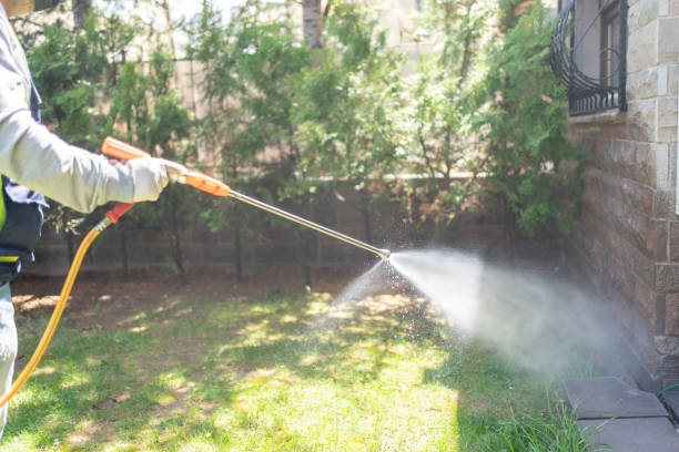Best Mosquito Control Services  in Baxter Village, SC