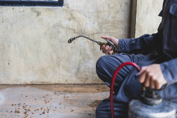 Best Wasp Removal Services  in Baxter Village, SC